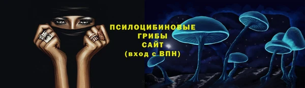 молекула духа Алексеевка
