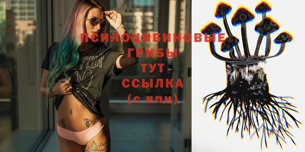 молекула духа Алексеевка